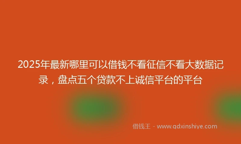 2025年最新哪里可以借钱不看征信不看大数据记录，盘点五个贷款不上诚信平台的平台