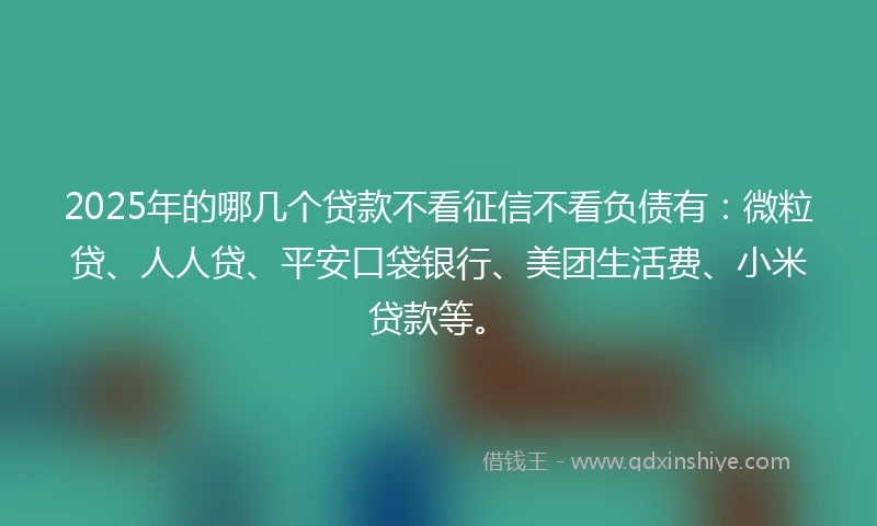 2025年的哪几个贷款不看征信不看负债有：微粒贷、人人贷、平安口袋银行、美团生活费、小米贷款等。