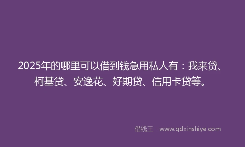 2025年的哪里可以借到钱急用私人有：我来贷、柯基贷、安逸花、好期贷、信用卡贷等。