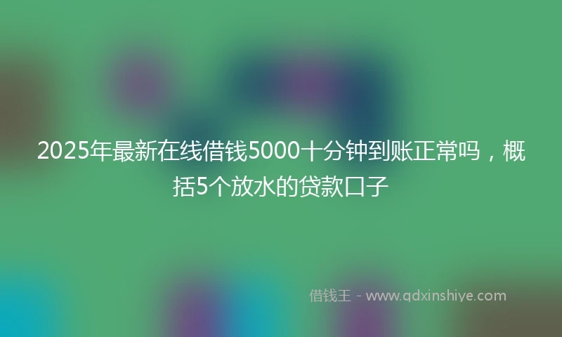 2025年最新在线借钱5000十分钟到账正常吗，概括5个放水的贷款口子