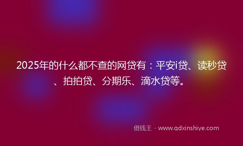 2025年的什么都不查的网贷有：平安i贷、读秒贷、拍拍贷、分期乐、滴水贷等。