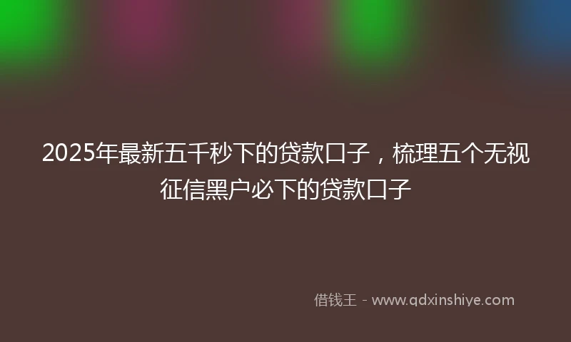 2025年最新五千秒下的贷款口子，梳理五个无视征信黑户必下的贷款口子