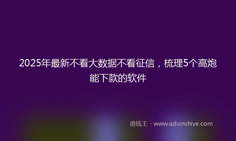 2025年最新不看大数据不看征信，梳理5个高炮能下款的软件