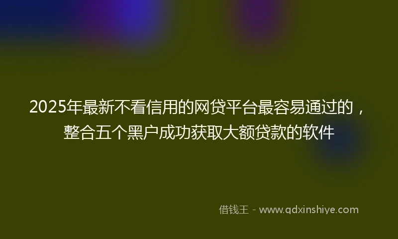 2025年最新不看信用的网贷平台最容易通过的，整合五个黑户成功获取大额贷款的软件