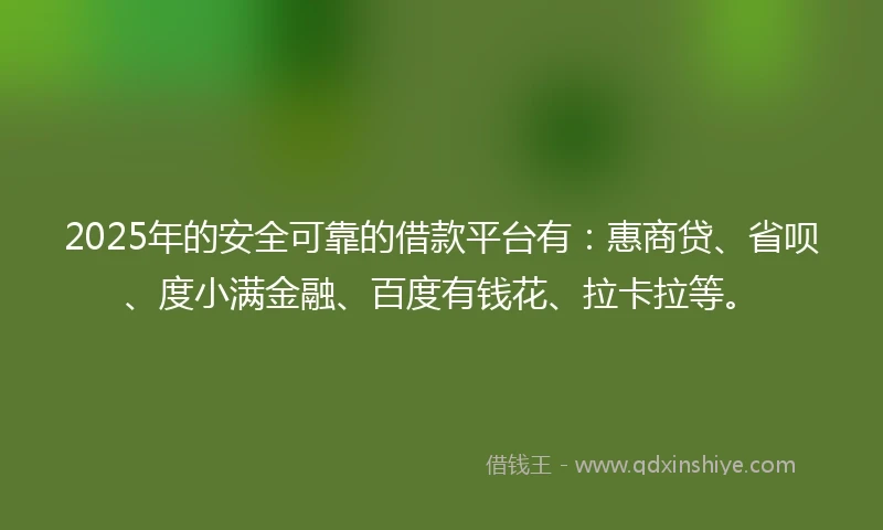 2025年的安全可靠的借款平台有：惠商贷、省呗、度小满金融、百度有钱花、拉卡拉等。