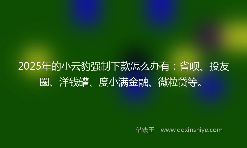 2025年的小云豹强制下款怎么办有：省呗、投友圈、洋钱罐、度小满金融、微粒贷等。