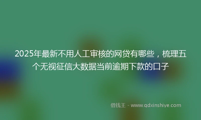 2025年最新不用人工审核的网贷有哪些，梳理五个无视征信大数据当前逾期下款的口子
