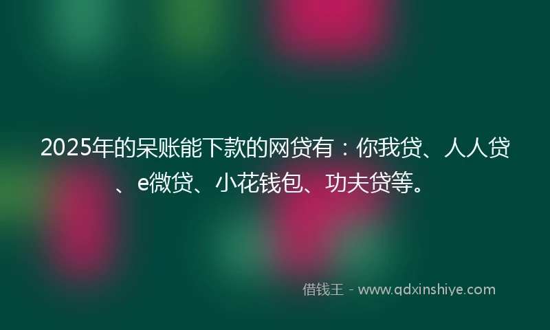 2025年的呆账能下款的网贷有：你我贷、人人贷、e微贷、小花钱包、功夫贷等。