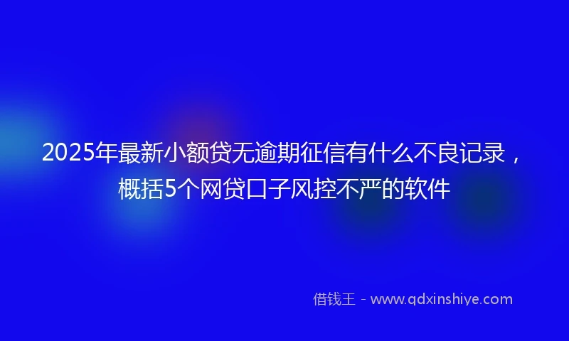2025年最新小额贷无逾期征信有什么不良记录,概括5个网贷口子风控不严的软件