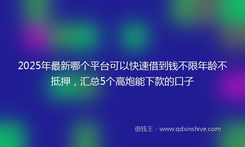 2025年最新哪个平台可以快速借到钱不限年龄不抵押，汇总5个高炮能下款的口子