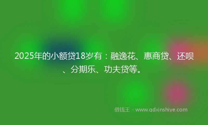 2025年的小额贷18岁有：融逸花、惠商贷、还呗、分期乐、功夫贷等。