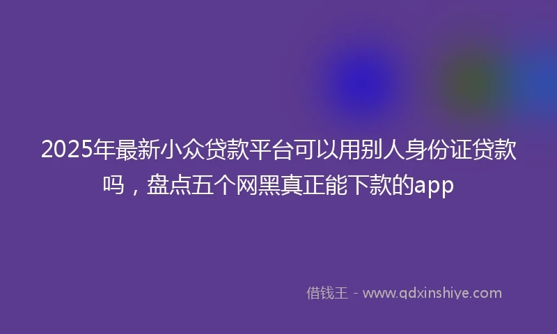 2025年最新小众贷款平台可以用别人身份证贷款吗，盘点五个网黑真正能下款的app