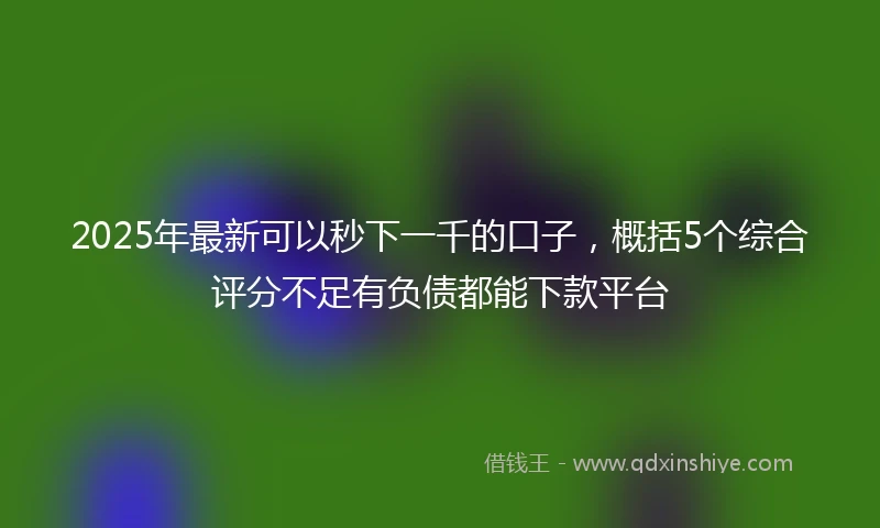 2025年最新可以秒下一千的口子，概括5个综合评分不足有负债都能下款平台