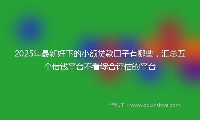 2025年最新好下的小额贷款口子有哪些，汇总五个借钱平台不看综合评估的平台