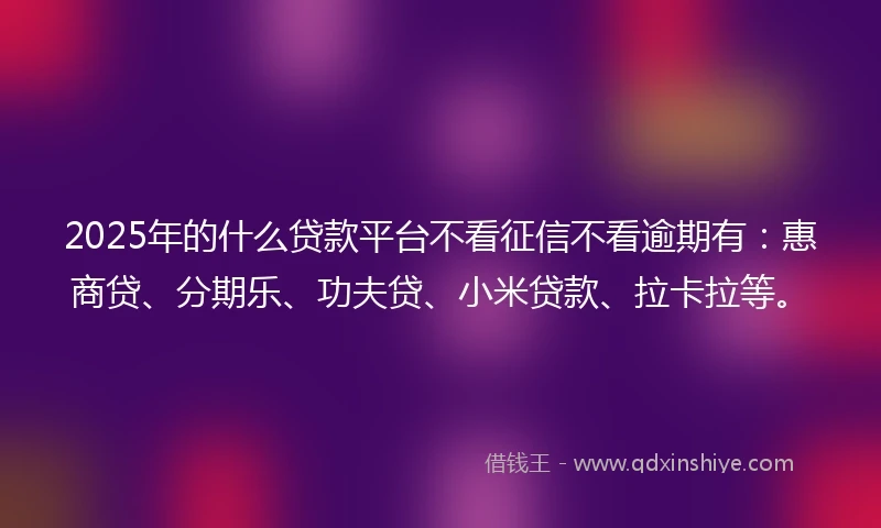 2025年的什么贷款平台不看征信不看逾期有：惠商贷、分期乐、功夫贷、小米贷款、拉卡拉等。