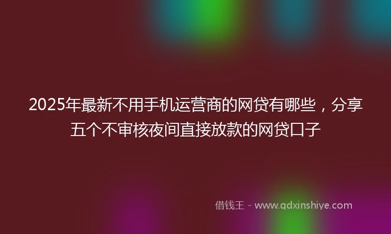 2025年最新不用手机运营商的网贷有哪些，分享五个不审核夜间直接放款的网贷口子