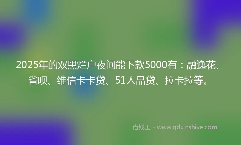 2025年的双黑烂户夜间能下款5000有：融逸花、省呗、维信卡卡贷、51人品贷、拉卡拉等。