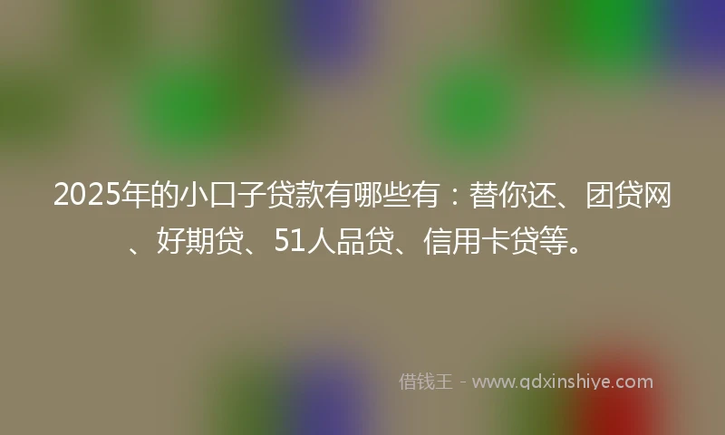 2025年的小口子贷款有哪些有：替你还、团贷网、好期贷、51人品贷、信用卡贷等。
