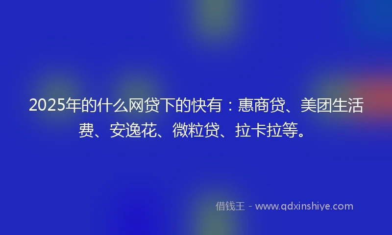 2025年的什么网贷下的快有：惠商贷、美团生活费、安逸花、微粒贷、拉卡拉等。