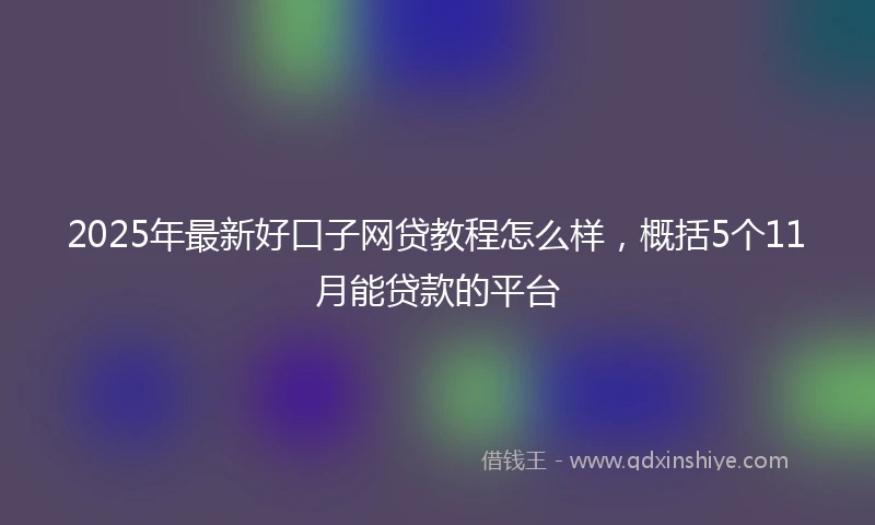 2025年最新好口子网贷教程怎么样，概括5个11月能贷款的平台
