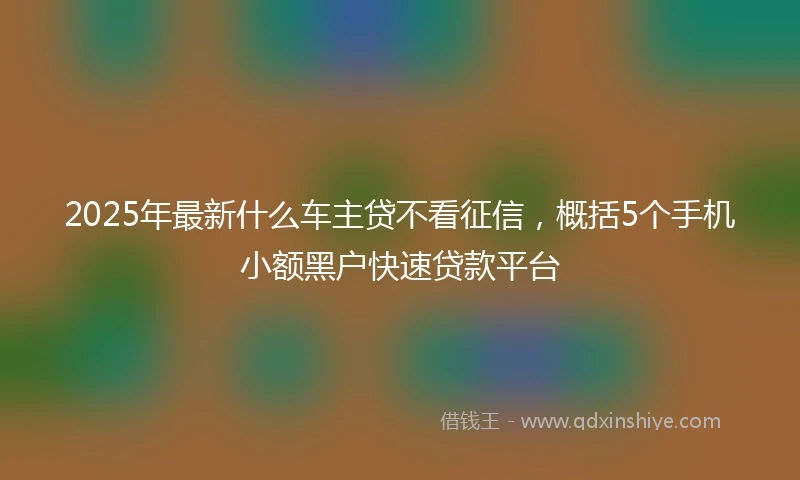 2025年最新什么车主贷不看征信，概括5个手机小额黑户快速贷款平台