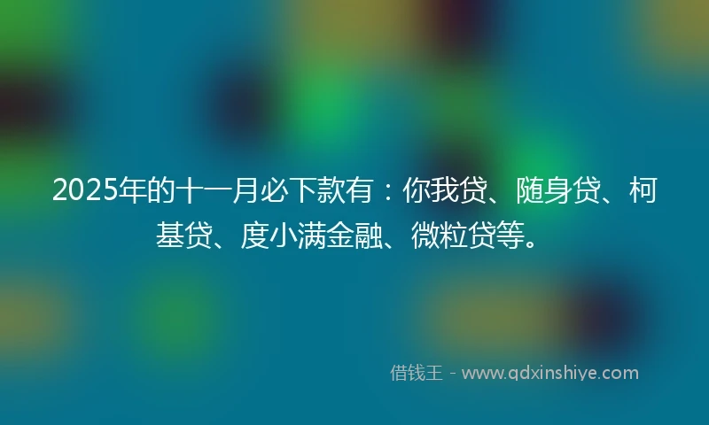 2025年的十一月必下款有：你我贷、随身贷、柯基贷、度小满金融、微粒贷等。