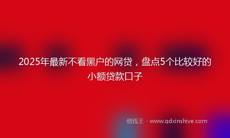 2025年最新不看黑户的网贷，盘点5个比较好的小额贷款口子