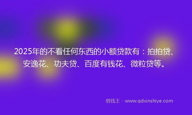 2025年的不看任何东西的小额贷款有：拍拍贷、安逸花、功夫贷、百度有钱花、微粒贷等。