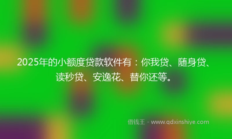 2025年的小额度贷款软件有：你我贷、随身贷、读秒贷、安逸花、替你还等。