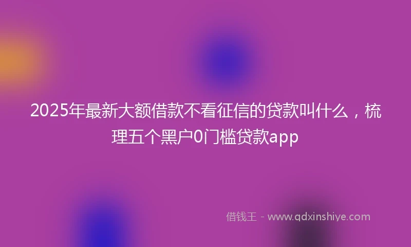 2025年最新大额借款不看征信的贷款叫什么,梳理五个黑户0门槛贷款app