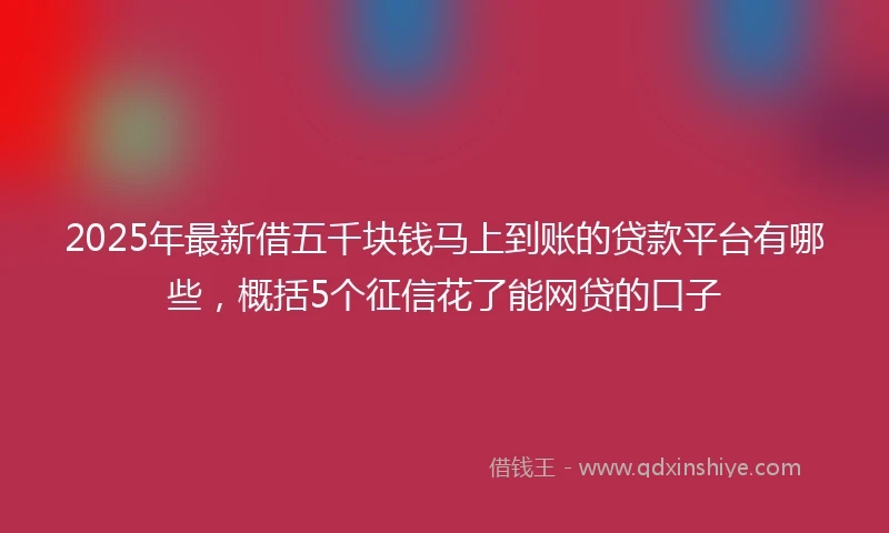 2025年最新借五千块钱马上到账的贷款平台有哪些，概括5个征信花了能网贷的口子