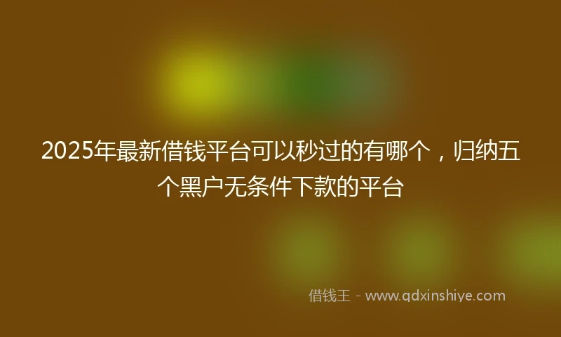 2025年最新借钱平台可以秒过的有哪个，归纳五个黑户无条件下款的平台
