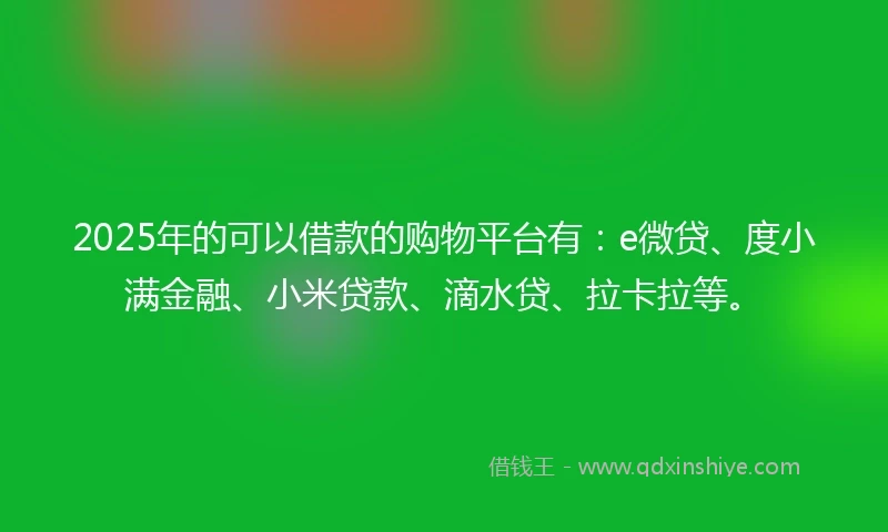 2025年的可以借款的购物平台有：e微贷、度小满金融、小米贷款、滴水贷、拉卡拉等。