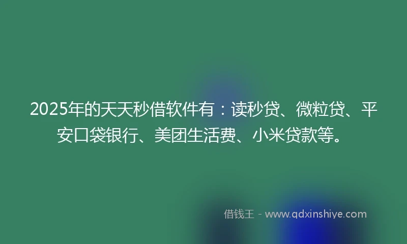 2025年的天天秒借软件有：读秒贷、微粒贷、平安口袋银行、美团生活费、小米贷款等。