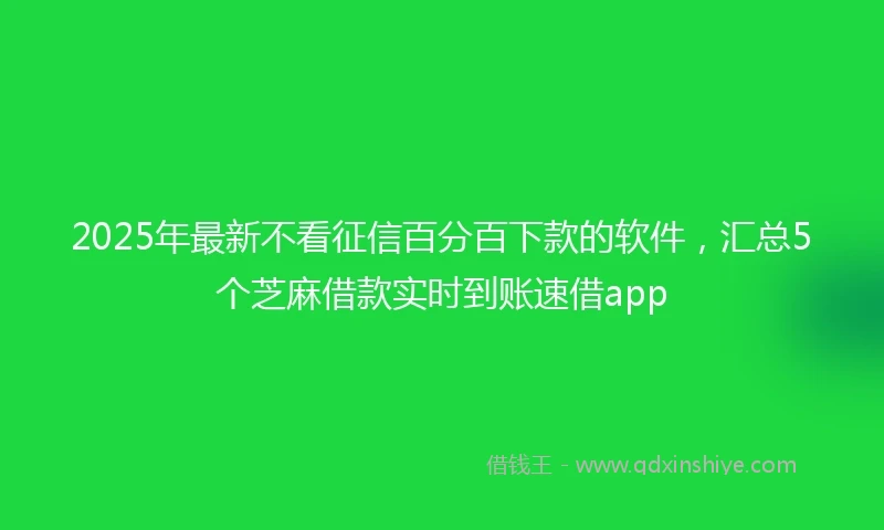 2025年最新不看征信百分百下款的软件，汇总5个芝麻借款实时到账速借app