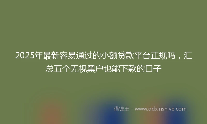2025年最新容易通过的小额贷款平台正规吗，汇总五个无视黑户也能下款的口子