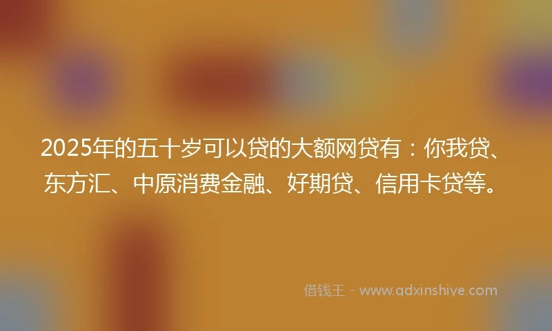 2025年的五十岁可以贷的大额网贷有：你我贷、东方汇、中原消费金融、好期贷、信用卡贷等。