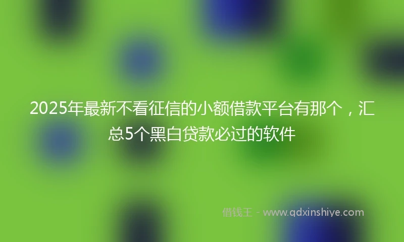 2025年最新不看征信的小额借款平台有那个，汇总5个黑白贷款必过的软件