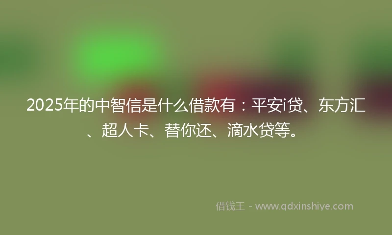2025年的中智信是什么借款有：平安i贷、东方汇、超人卡、替你还、滴水贷等。