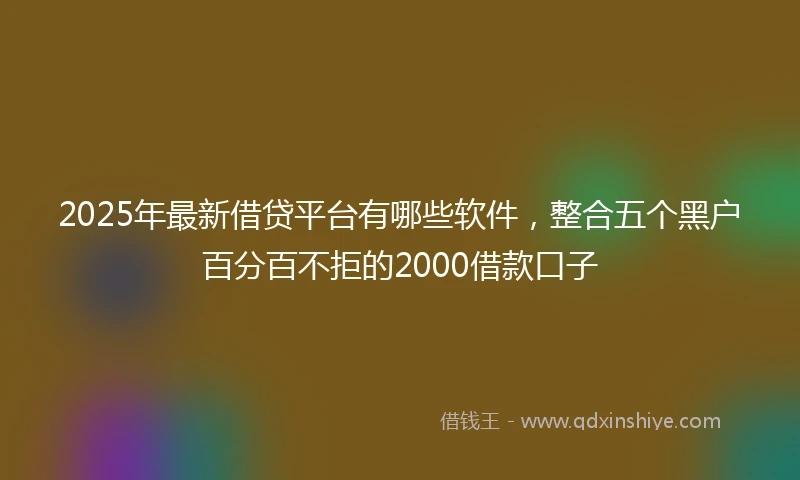 2025年最新借贷平台有哪些软件，整合五个黑户百分百不拒的2000借款口子