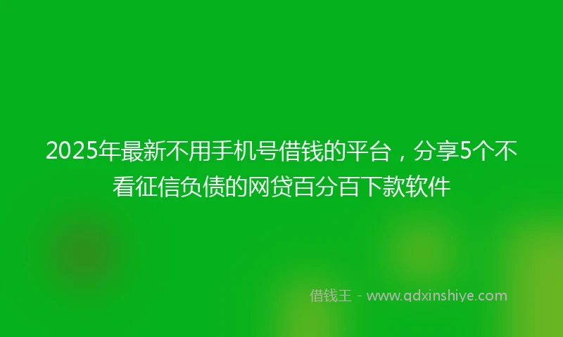 2025年最新不用手机号借钱的平台，分享5个不看征信负债的网贷百分百下款软件