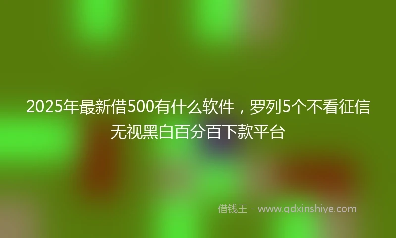 2025年最新借500有什么软件，罗列5个不看征信无视黑白百分百下款平台