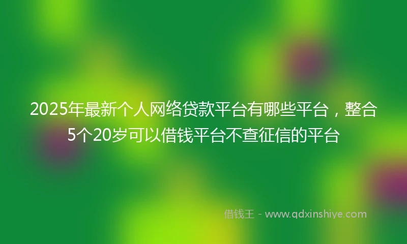 2025年最新个人网络贷款平台有哪些平台，整合5个20岁可以借钱平台不查征信的平台