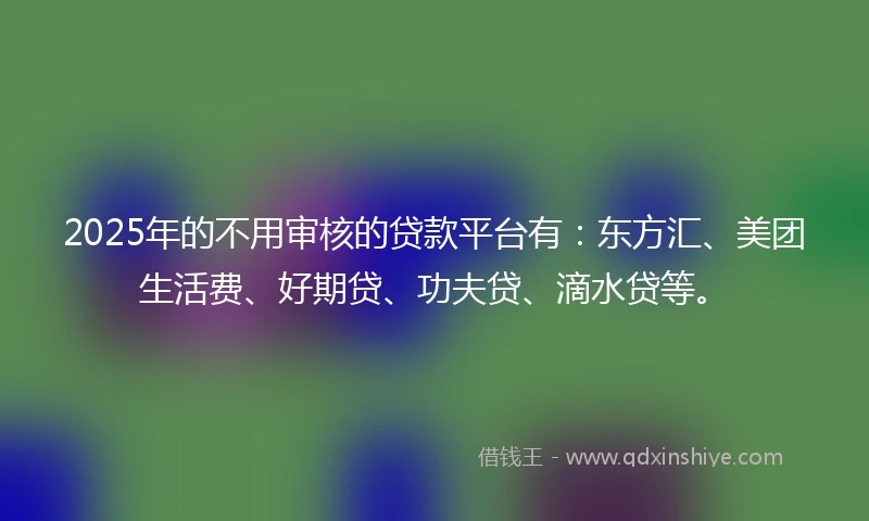 2025年的不用审核的贷款平台有：东方汇、美团生活费、好期贷、功夫贷、滴水贷等。