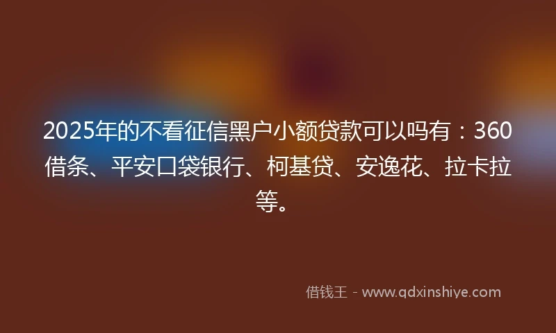 2025年的不看征信黑户小额贷款可以吗有：360借条、平安口袋银行、柯基贷、安逸花、拉卡拉等。