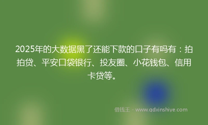 2025年的大数据黑了还能下款的口子有吗有：拍拍贷、平安口袋银行、投友圈、小花钱包、信用卡贷等。