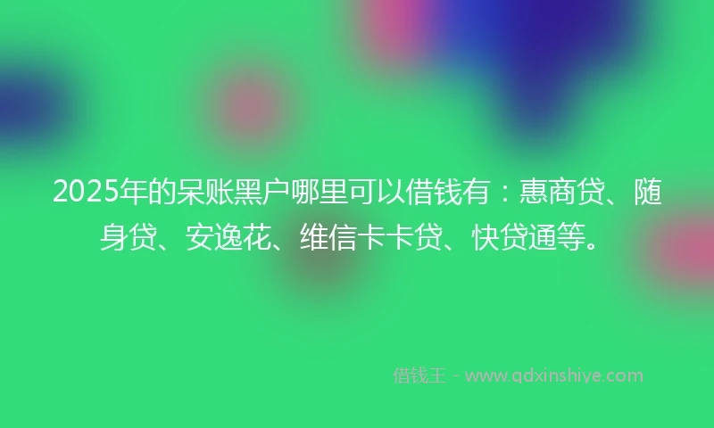 2025年的呆账黑户哪里可以借钱有：惠商贷、随身贷、安逸花、维信卡卡贷、快贷通等。