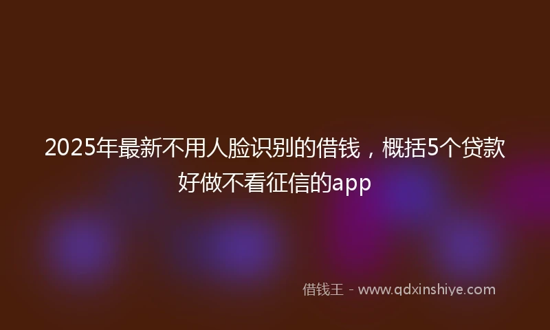 2025年最新不用人脸识别的借钱，概括5个贷款好做不看征信的app