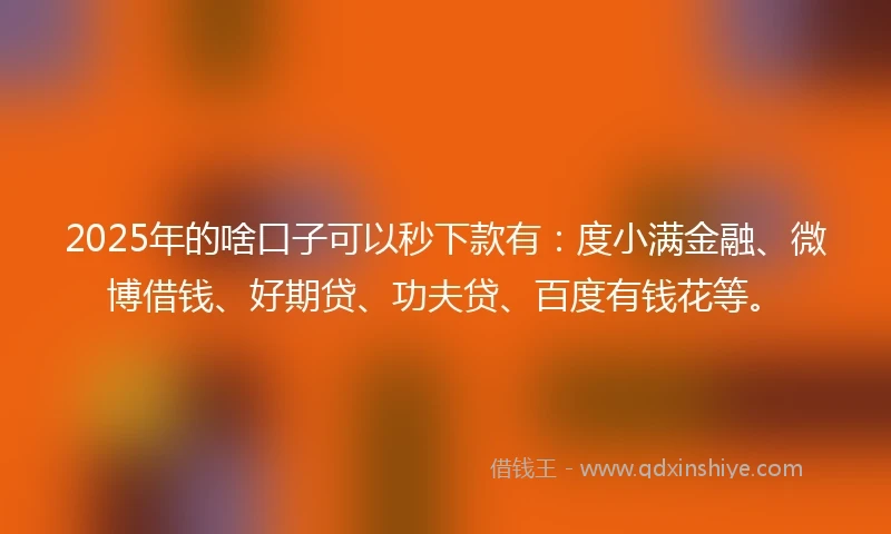 2025年的啥口子可以秒下款有：度小满金融、微博借钱、好期贷、功夫贷、百度有钱花等。