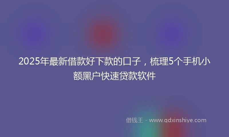 2025年最新借款好下款的口子，梳理5个手机小额黑户快速贷款软件